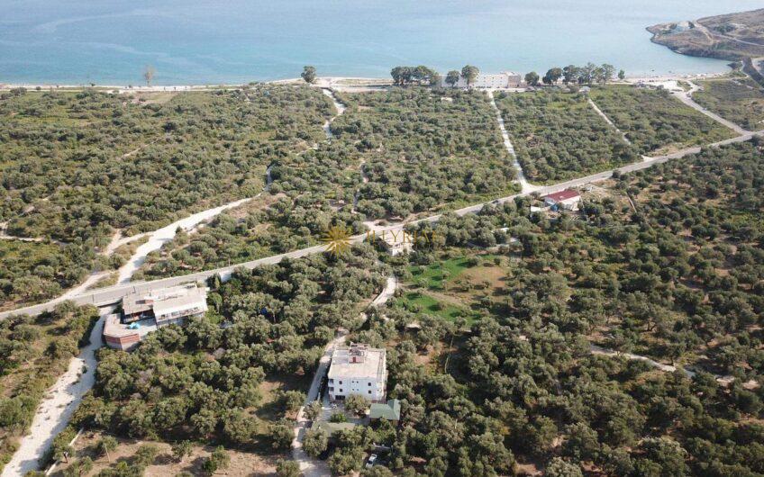 Hotel në shitje, Qeparo