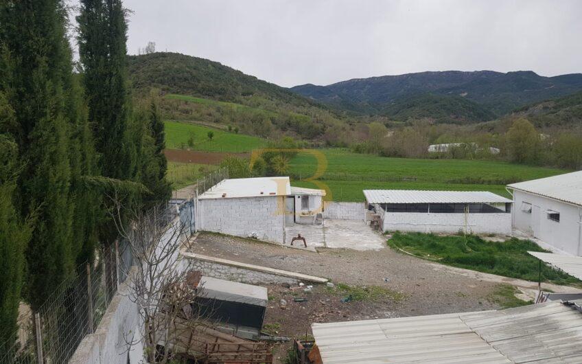 Fermë me qera, Baldushk