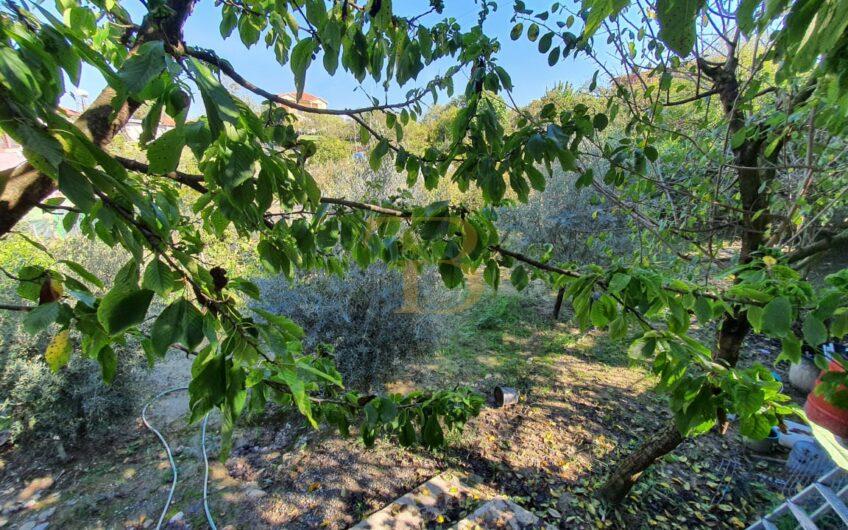Vilë 2-katëshe, Pezë e Vogël