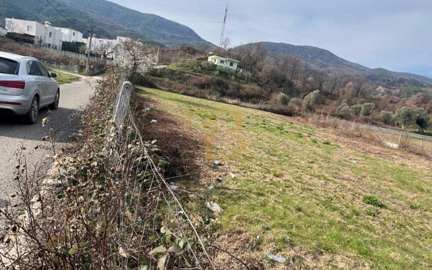 Tokë në shitje, Berzhitë.