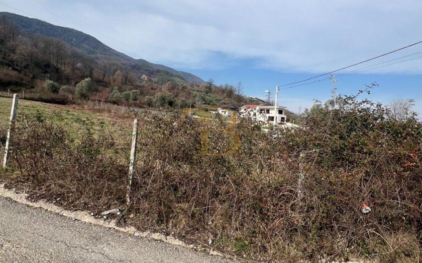 Tokë në shitje, Berzhitë.