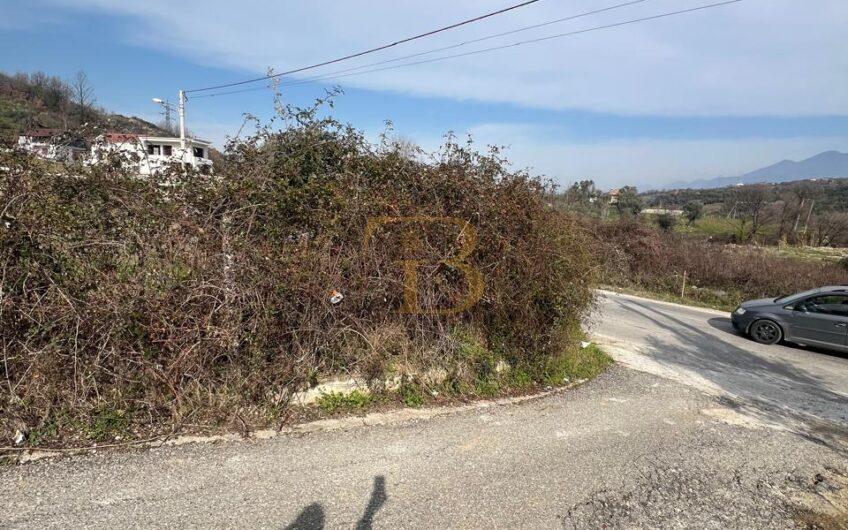 Tokë në shitje, Berzhitë.