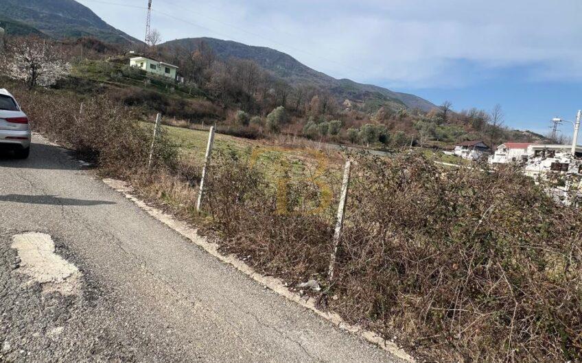 Tokë në shitje, Berzhitë.