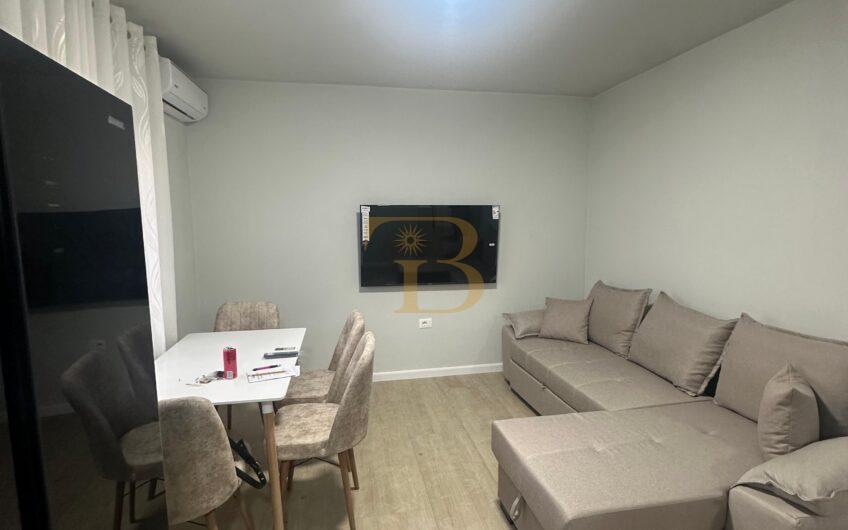 Apartament 1+1 me qera, Shkolla Baletit