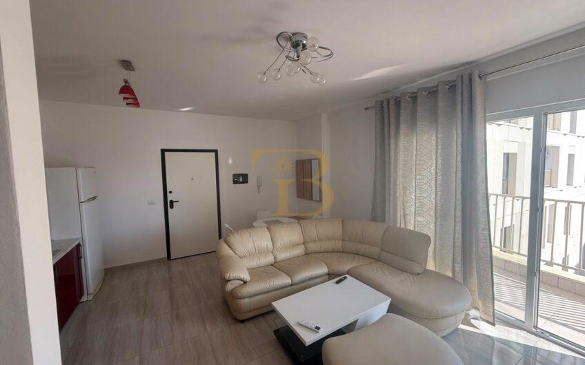 Apartament 1+1 me qera, Zogu i Zi