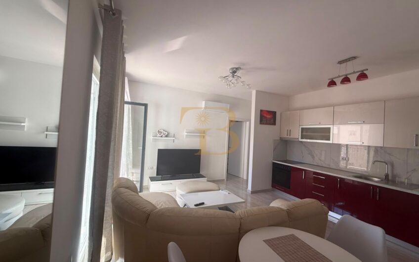 Apartament 1+1 me qera, Zogu i Zi
