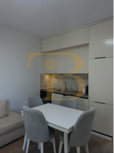 Apartament 1+1 me qera, Zogu i Zi
